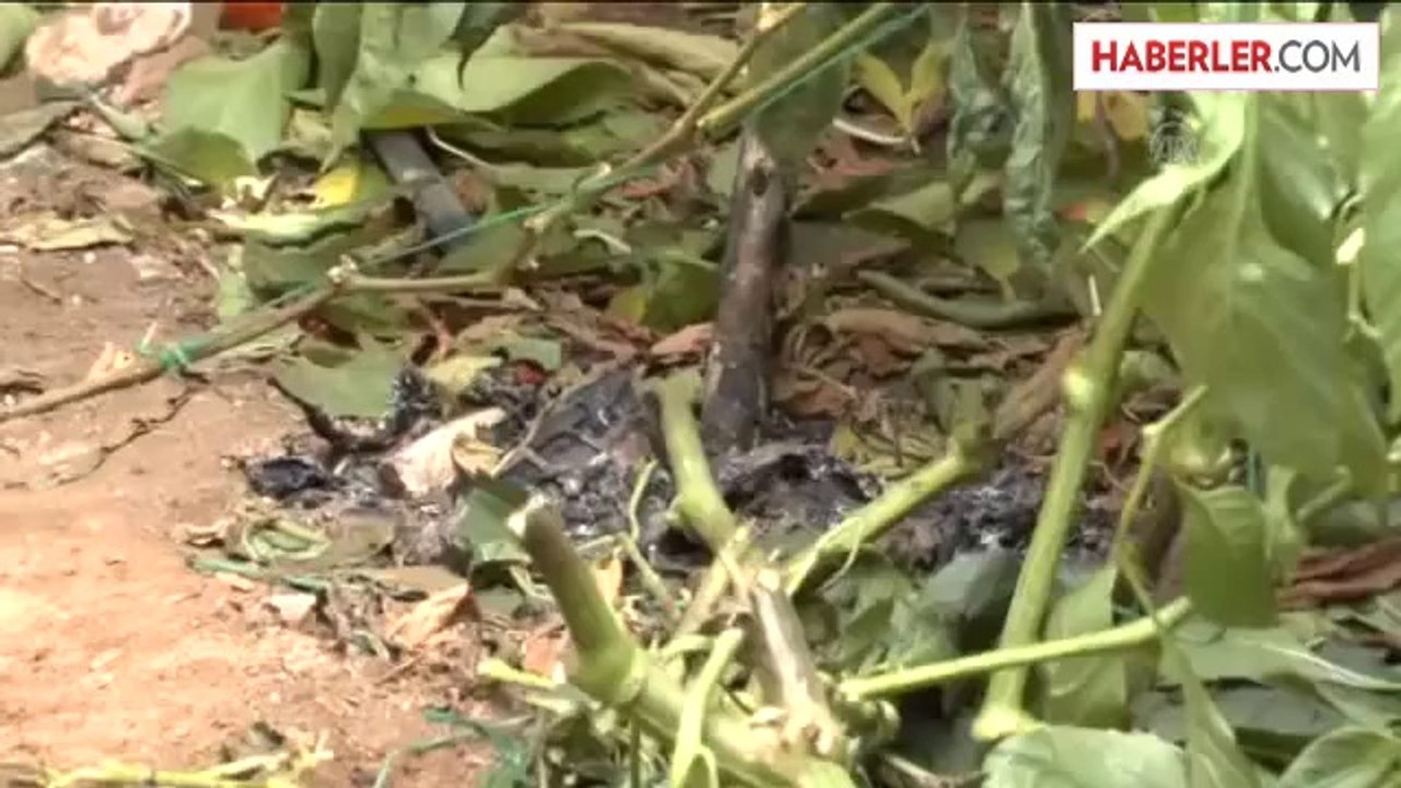 Demirci ustası akıma kapılarak yaşamını yitirdi -