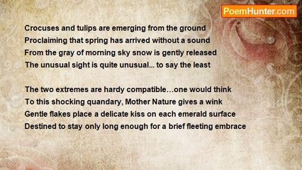 Theresa Ann Moore - Spring Snow