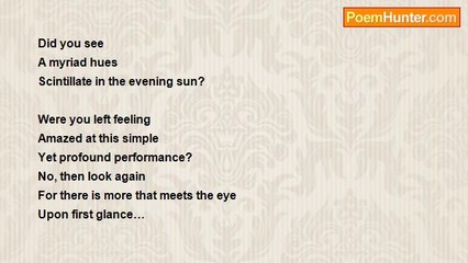 Count Dracula - More That Meets The eye