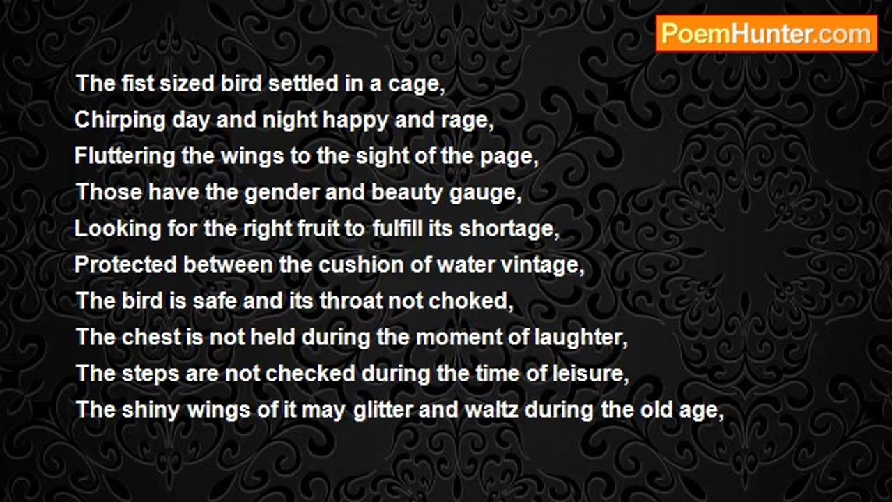 veeraiyah subbulakshmi - A Bird In the left: the heart..