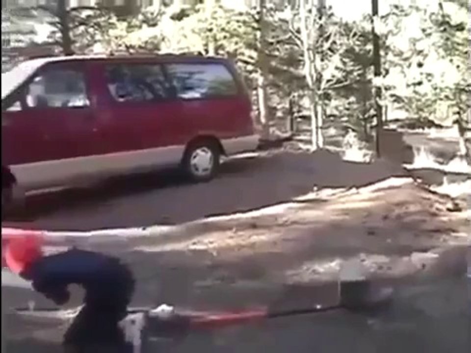 Dayaklık Eşşek Şakası