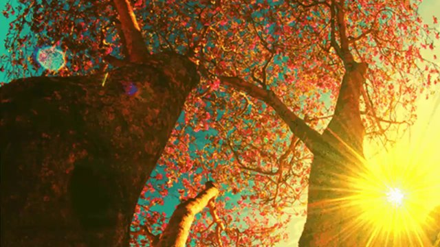 Sunset - sunrise ...(music Giovanni Marradi) ... ...