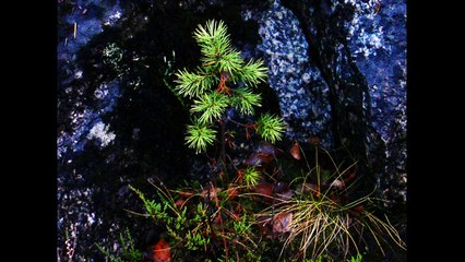 Światło i mrok - Norwegia północna