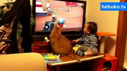 televizyona kitlenen bebek ve kedi
