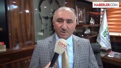 Bursa Zeytinde Yüzde 70 Ürün Kaybızeytinde Yüzde 70 Ürün Kaybı