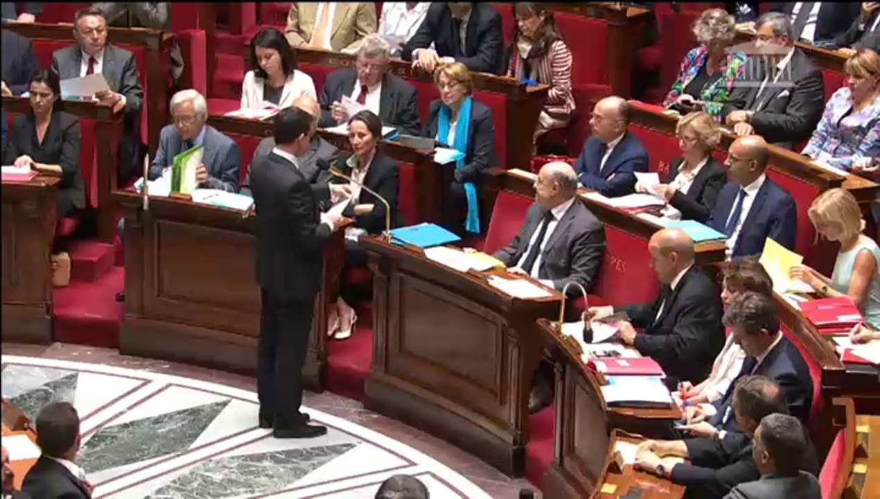 Christophe Castaner - Question au Gouvernement Valls - Ambition réformatrice de la France