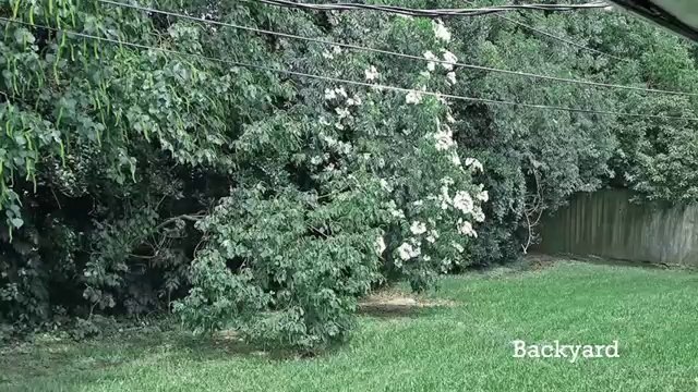 4501 Page Dr , Metairie, LA 70003