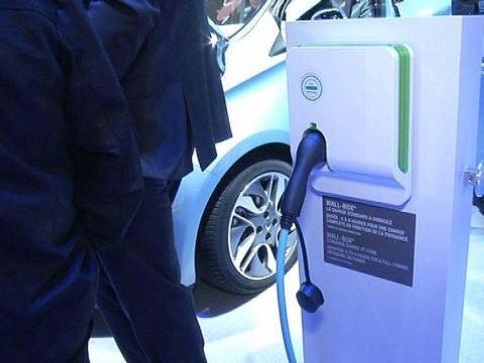 Le projet de loi sur la transition énergétique présenté en Conseil des ministres - 18/06