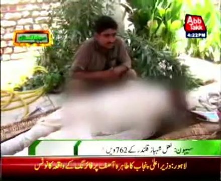 Sehvan - 762 Urs ceremony of Lal Shahbaz Qalandar