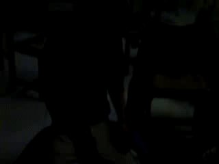 Parler aux mouettes : tout un art