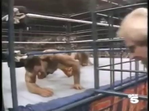 WWF SummerSlam 1990 (Fragmento) The Ultimate Warrior vs Rick Rude Tele 5