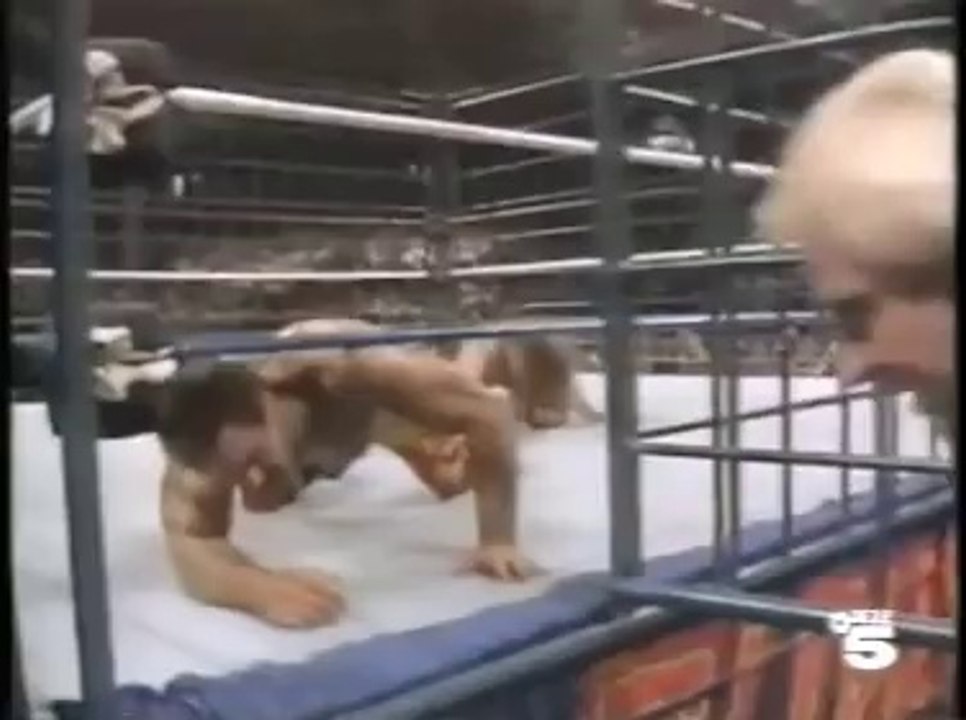 WWF SummerSlam 1990 (Fragmento) The Ultimate Warrior vs Rick Rude Tele 5