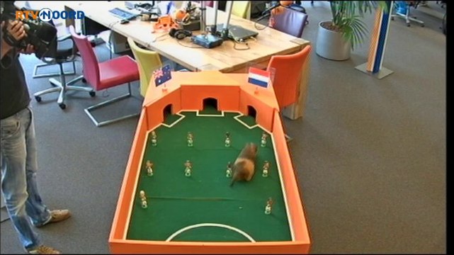 Beelden: Sikko voorspelt winst voor Nederland - RTV Noord