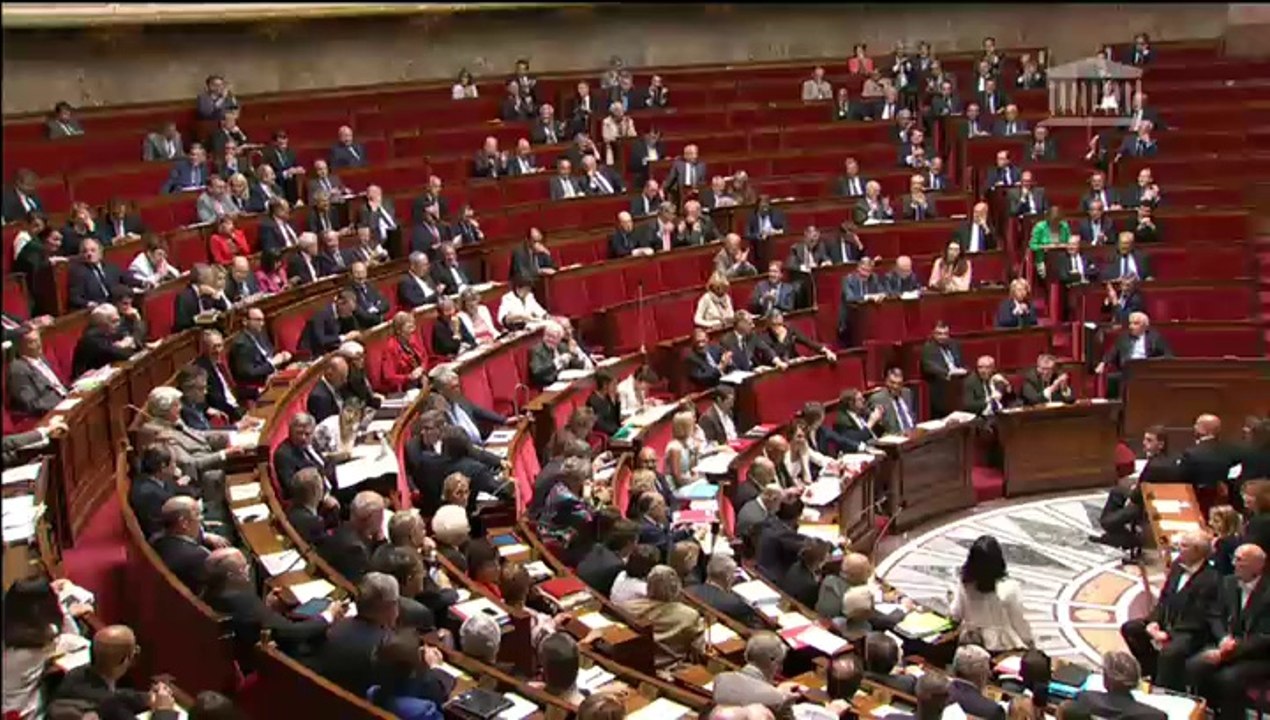 Sylvia Pinel répond à la QAG du député Christophe Caresche