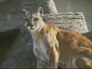 Biomas de la Argentina.