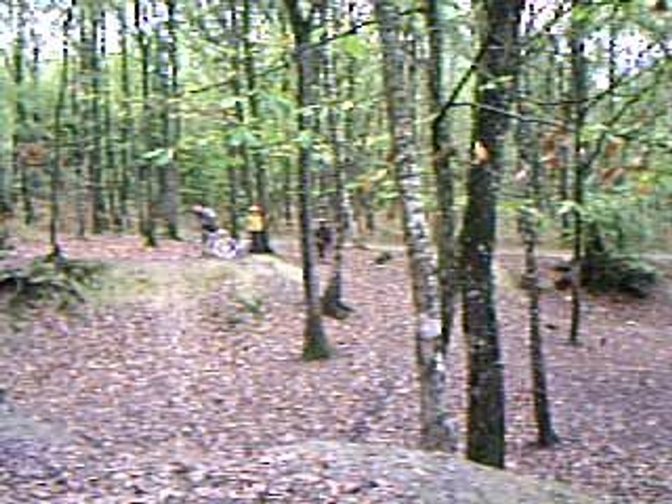 Enorme 360 BMX by Polux