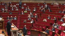 Explications de vote: résolution français rapatriés