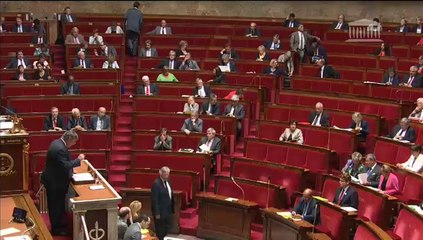 Explications de vote: résolution français rapatriés