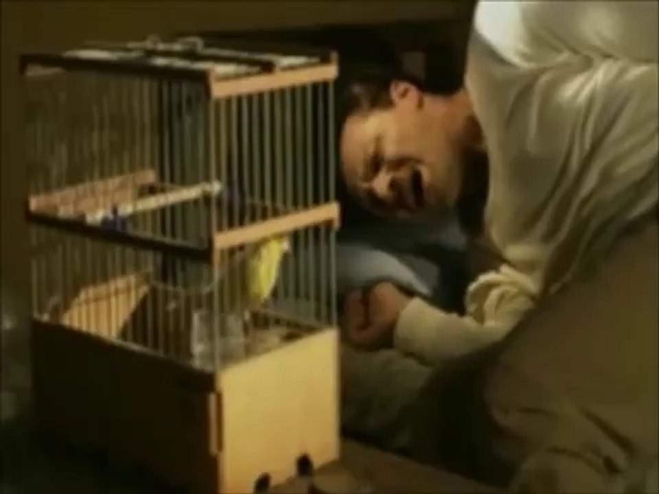 Zülfü Livaneli   -   Ah benim sevdalı başım