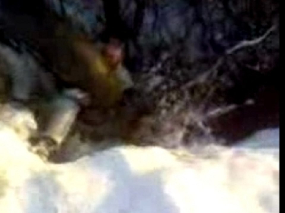 montage luge-bouée melsheim