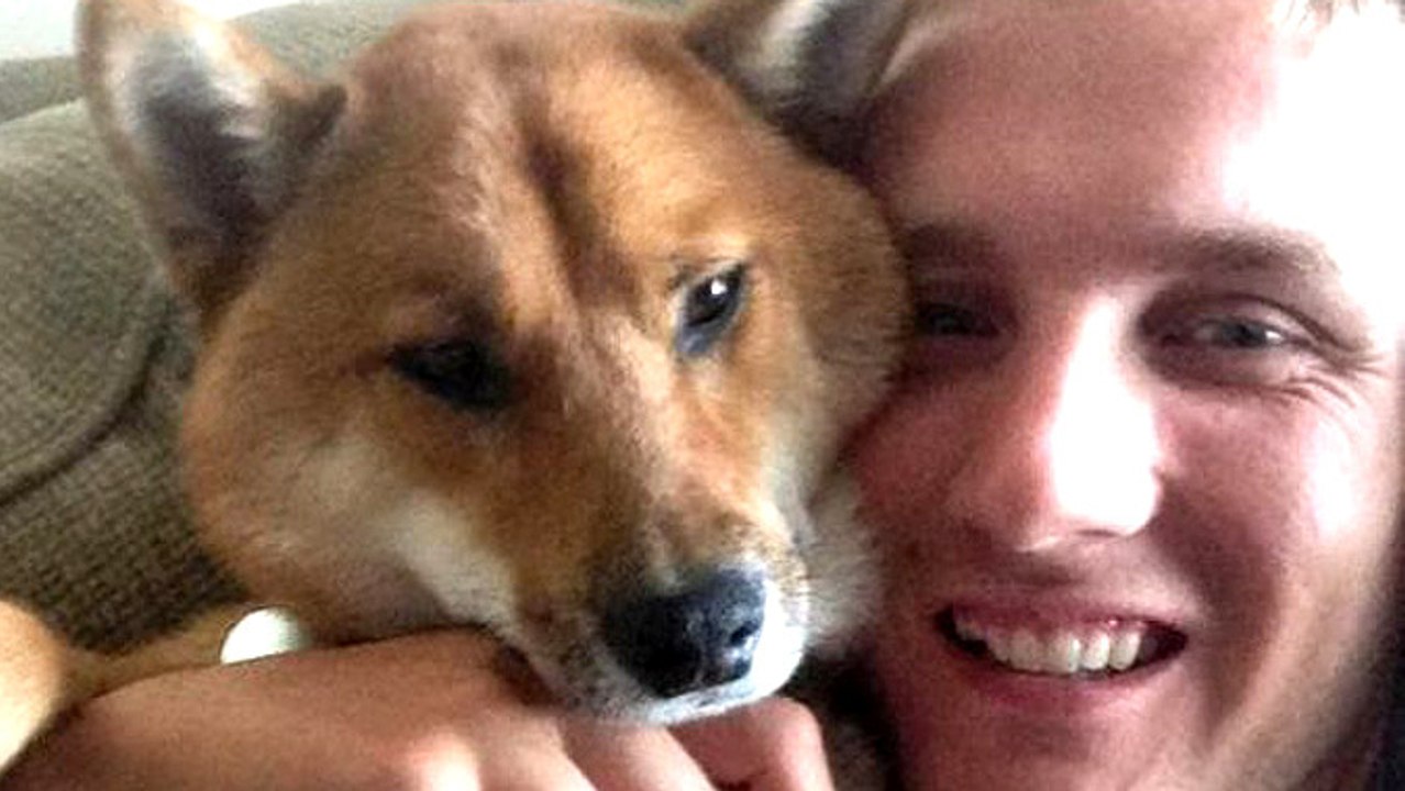 Soldier’s Ex Sells His Dog, New Owners Reluctant To Give It Back