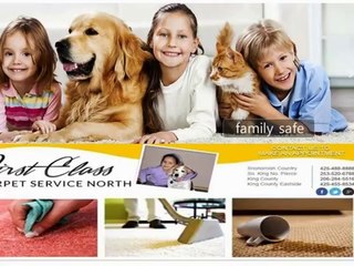 Best Carpet Cleaning service in Seattle and Surrounding Areas