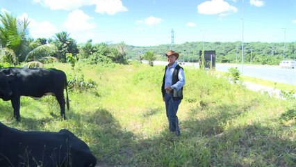 Recife, la faccia triste del mondiale brasiliano