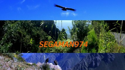 medley racine des iles