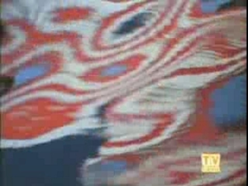 Hawai Police d'etat