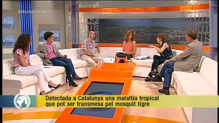 TV3 - Els Matins - Gascon: "Hem vist més casos de Chikungunya en un mes que en els últims 4 anys"
