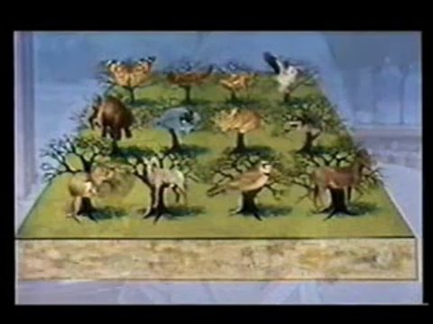 A Origem das Espécies - Charles Darwin