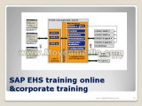 SAP EHS training online & corporate training
