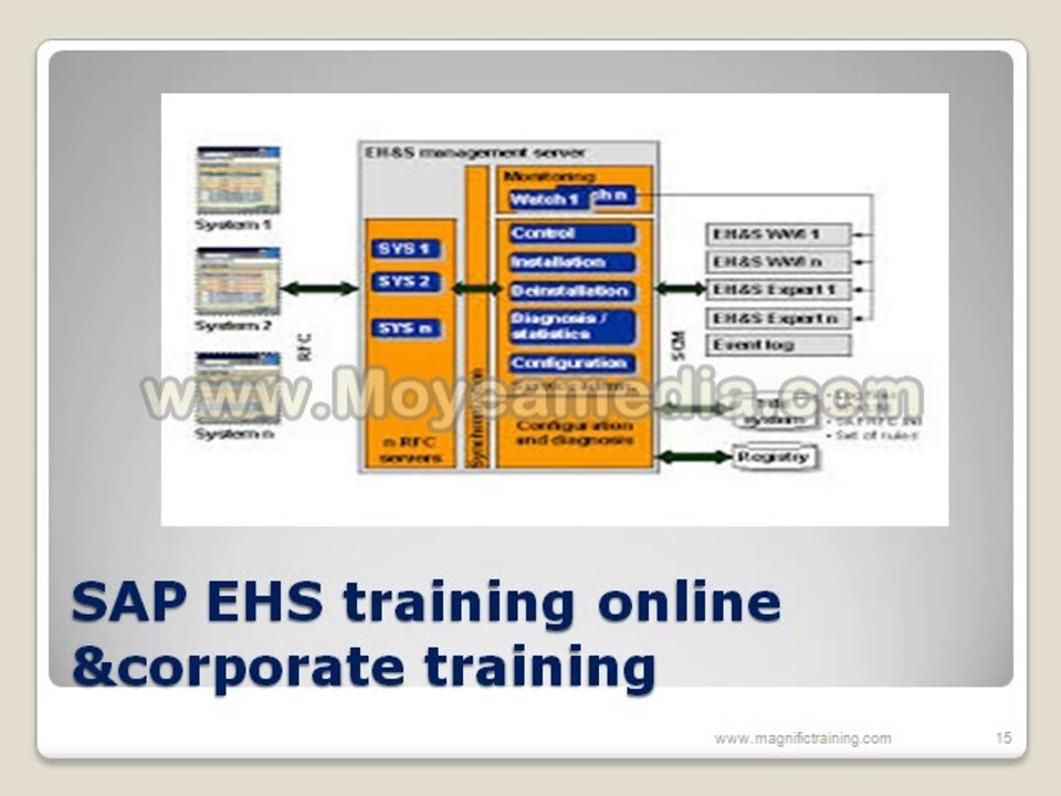 SAP EHS training online & corporate training