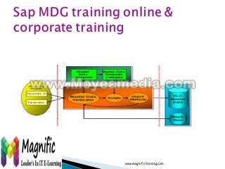 SAP MDG training online & corporate training