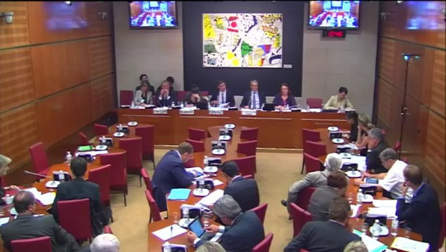 Audition de M. Mathieu Gallet, pdt de Radio France - Mercredi 18 Juin 2014