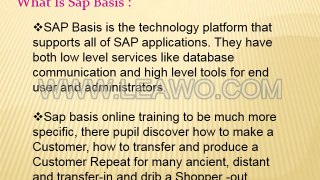 SAP Basis  SAP Basis Tutorials  SAP Basis Training_1