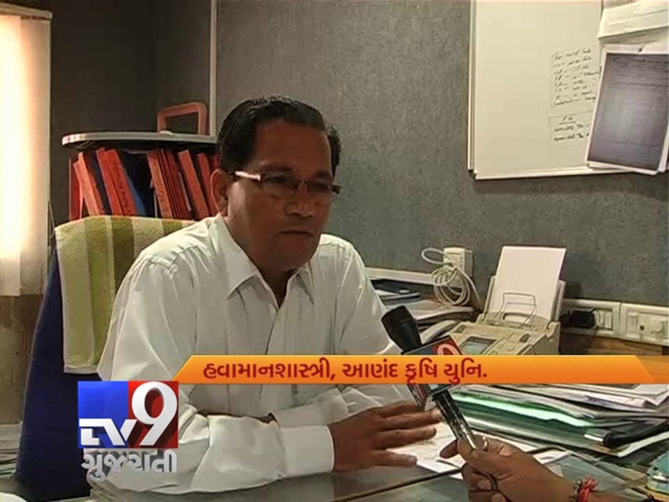 Hard time for groundnut growers as forecasters claim less rain this year, Rajkot - Tv9 Gujarati