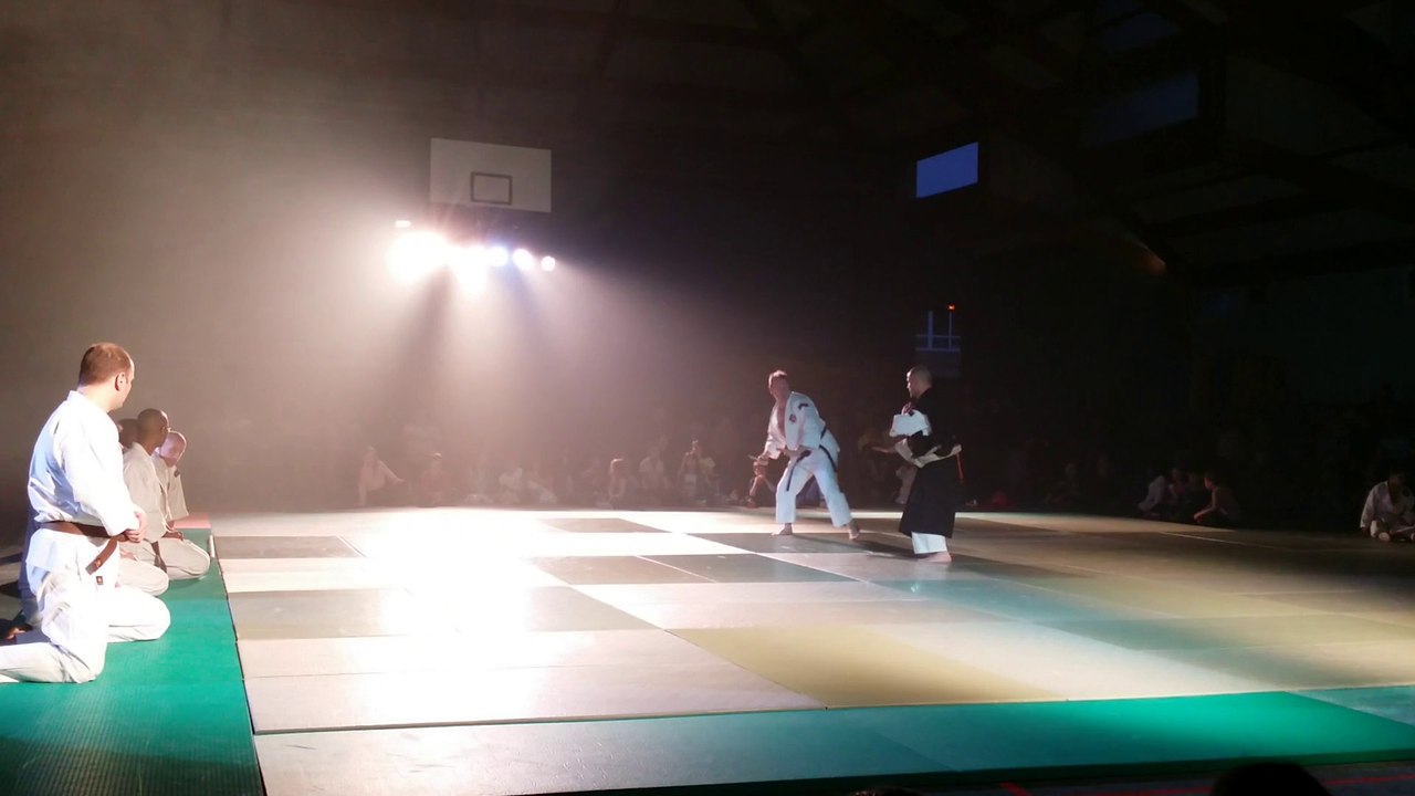 Shorinji Kempo à la soirée arts martiaux de Jouy le Moutier 2014