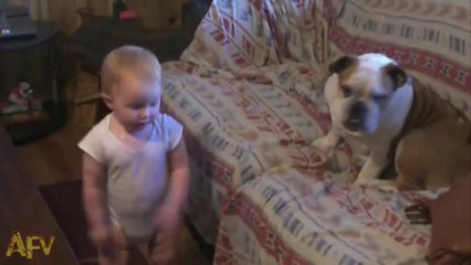 Download Video: Un bébé dispute un chien. Hilarant monologue dans une langue inconnue des adultes.