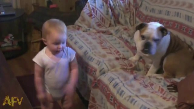 Un bébé dispute un chien. Hilarant monologue dans une langue inconnue des adultes.