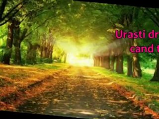 Passenger - Let her go (subtitrare romana)