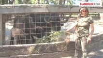 Antalya Hayvanat Bahçesi'nde Yavru Sevinci