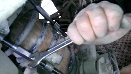 Chat coincé dans un amortisseur de voiture