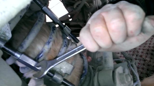 Chat coincé dans un amortisseur de voiture