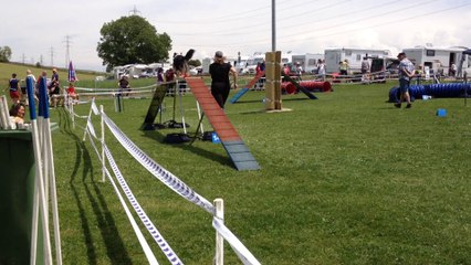 Open Flicka Bussigny