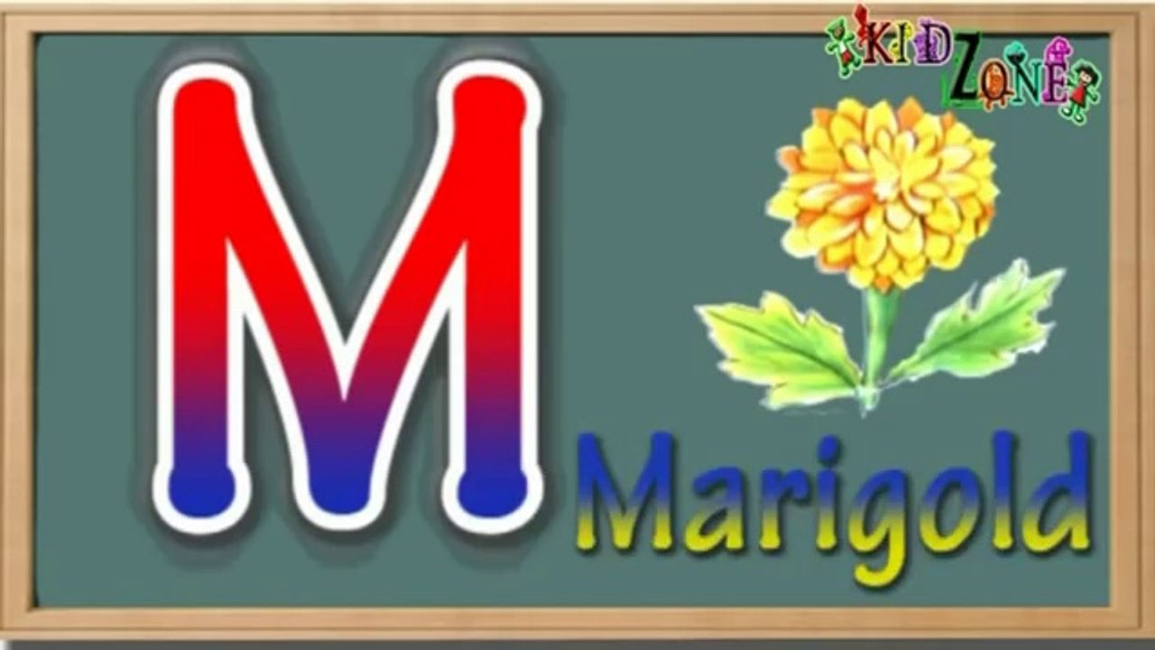 Learn about Flowers