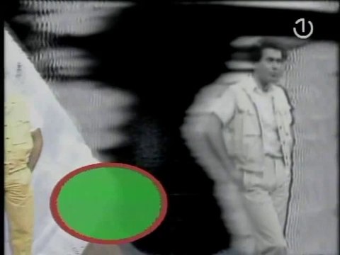 Marinko Rokvić - Potražicu oči zelenije