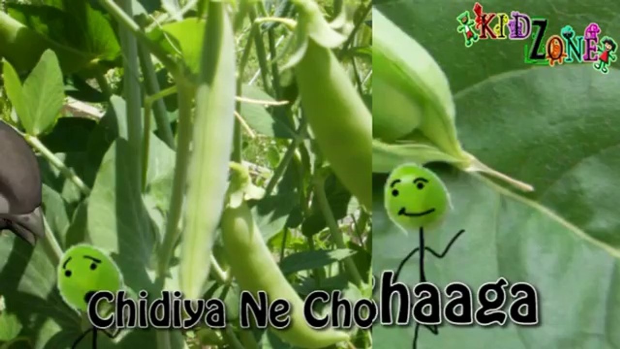 Nursery Hindi Rhymes - Mattar (Peas)