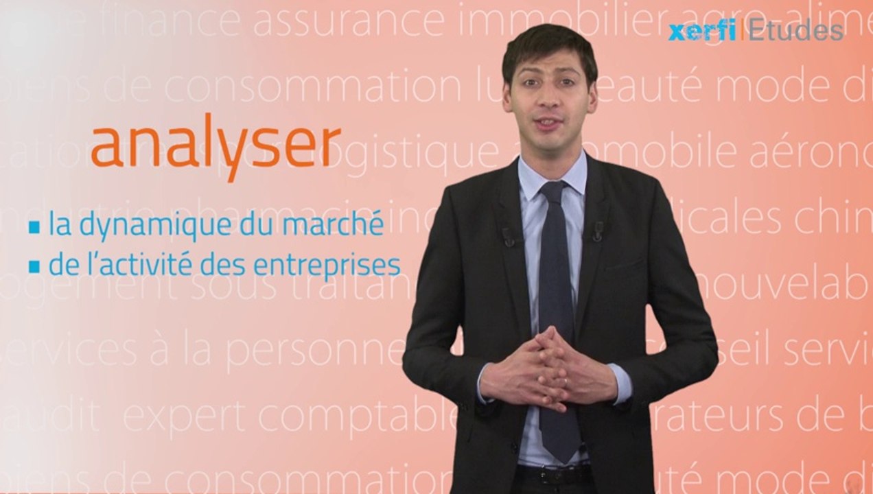 Xerfi France, L'immobilier social en France