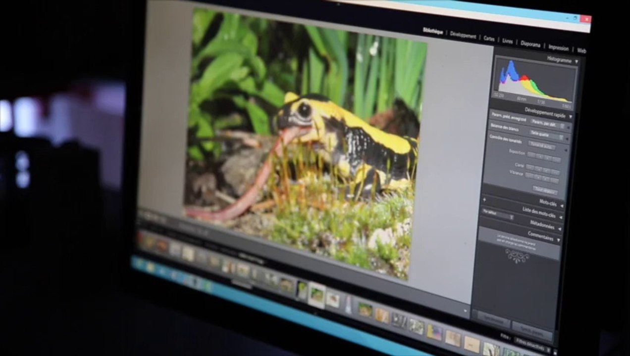 Un jury au fond des yeux (bande annonce jury festiphoto)